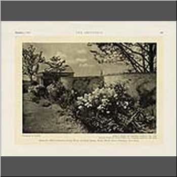 Unable to load Image